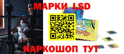 стаф Заводоуковск