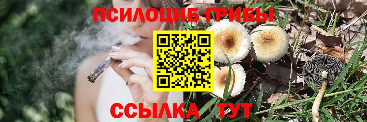 Псилоцибиновые грибы GOLDEN TEACHER  Вход с VPN  Горно-Алтайск 